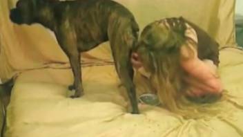 Perky booty babe getting fucked by a playful mutt