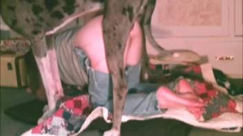 Hot MILF takes the entire dog cock inside her pussy
