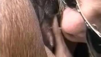 Horse porn in outdoor along a milf addicted to cock