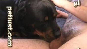 Dude's meaty cock punishing a dog's cavity here