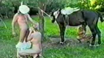 Experienced woman lets a horse destroy her vagina and anus