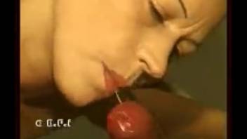 Mature women involving canines for erotic enjoyment in household settings