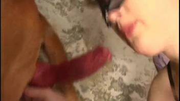 Insane dog-themed adult video on webcam featuring a sexy mature woman with a tight vagina
