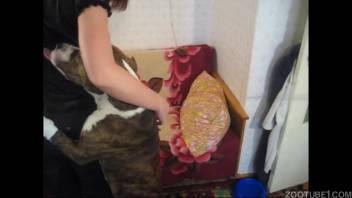 Amateur clip featuring a bare chick experimenting with intimacy with her pet dog