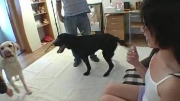 Masturbating Japanese babe getting banged by a dog