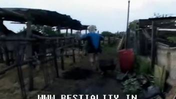 Incredible busty older woman pounded by a stud horse on the abandoned ranch