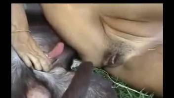 Sex-loving hottie is enjoying anal banging with a grey doggy