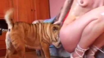 Small tits diva showing her oral skills with a dog