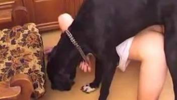 Real man zoophile is trying anal penetration with his own dog