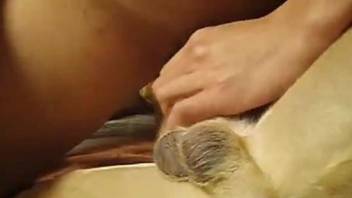 Sexy dog is pretty much begging for it in a hot porn vid