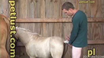 A guy pounds a female horse's vagina from the back and brings it to climax.