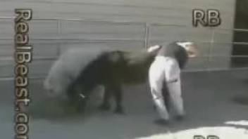 Farm girl with beautiful body gives her pony a passionate rimjob
