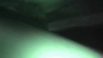 Massive horse dick fun with an attractive slut