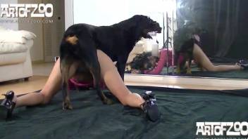 Dark-haired hottie with dreadlocks gets fucked by a dog