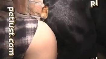 Plaid shirt hottie takes that massive dog cock from behind