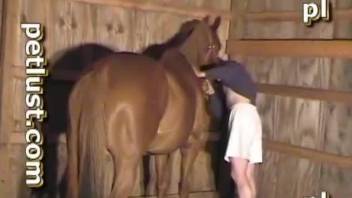 Farmer with big loaded prick pounds a brown horse from behind
