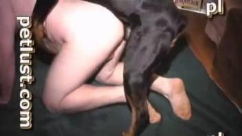 Big booty zoophile getting rammed by a gay dog