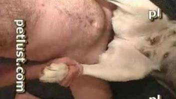 Man roughly fucks his dog in the pussy while taping himself
