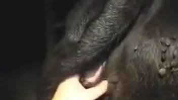 Aroused guy craves to intensely pound his bovine in both those snug orifices