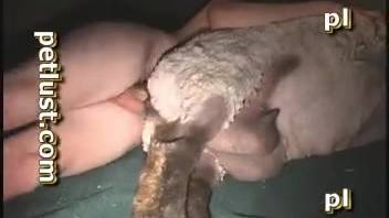 Bestiality with barnyard creatures for a lustful young man desperate for intercourse