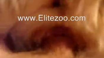 Guy thrusts entire cock into fluffy creature's moist cunt and anus