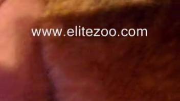Enthusiastic guy fisting and fingering his pet's narrow opening