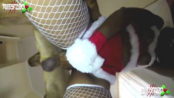 Canine bangs black chick