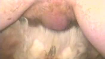 Guy intensely penetrates hairy beast in wild amateur porn