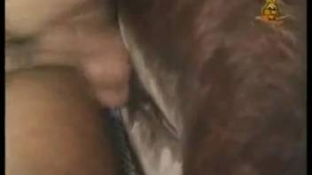 Pair brings dog into their raunchy homemade deviances