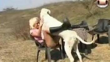 Blonde wench likes when dog's penis stretches her shaved cunt