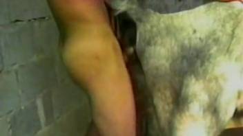 Hispanic dude bangs his small horse, his buddy screws his girlfriend