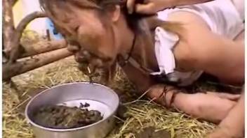Asian sluts compelled to consume canine feces in excrement play videos