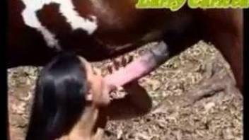 Brunette beauty throats horse cock and gets laid in superb XXX