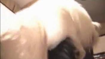 Stallion mounts curly-haired farm girl 18+
