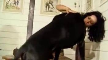 Latina brunette fucking every animal she ever encountered