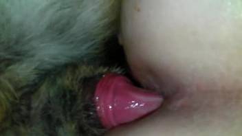 ANAL WOMAN