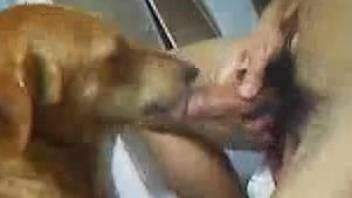 Homemade animal fucking nude porn with a man and his dog