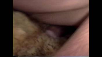 Guy bangs a sheep and savors incredible webcam experiences
