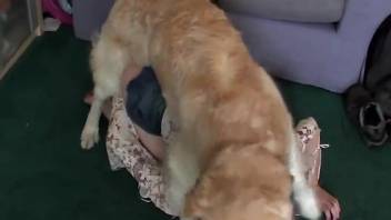 Canine assists owner in sexually pleasing his partner
