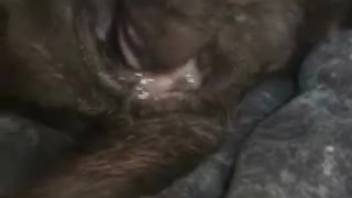 Excited guy deeply penetrates his hairy companion in a passionate bestial porn romp