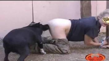 Boy tied up naughty chick and forced to copulate with his dog