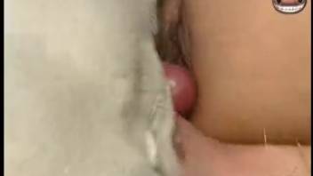 Blonde hottie adores a man's shaft and has sex with a dog