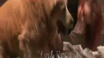 Slender spouse is penetrated by beasts in perverse obsession