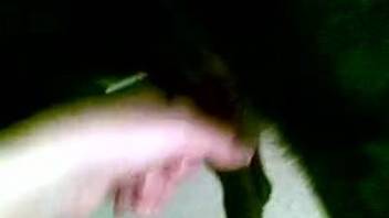 Horny woman films herself playing with a dog dick