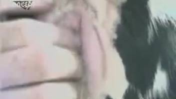 Hot and intense vaginal hardcore action for a guy while pounding a goat