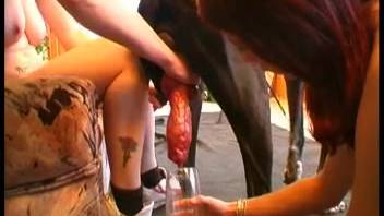 Desperate sapphic women divide an enormous equine penis for added pleasure