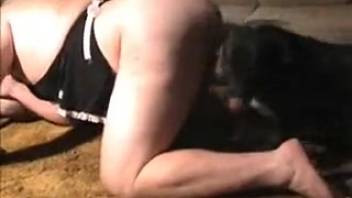 Overweight servant and her dominant owner engage in a multi-partner session with canines