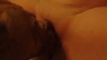 Canine tongues and smells lady's damp pussy as she pleasures herself