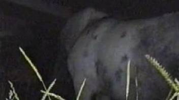 Horny dude with a big dick stalking his prey at night