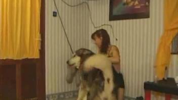 Mad bitch in green stockings sucks dog's cock and pokes pussy
